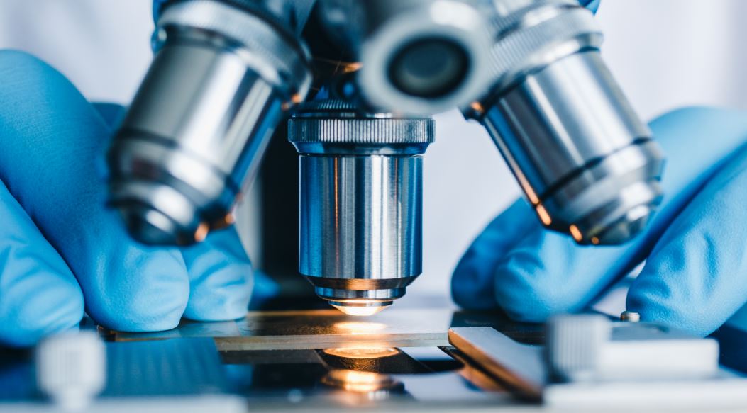 Mapeamento genético o que é e quanto custa Mapeamento genético o que é e quanto custa