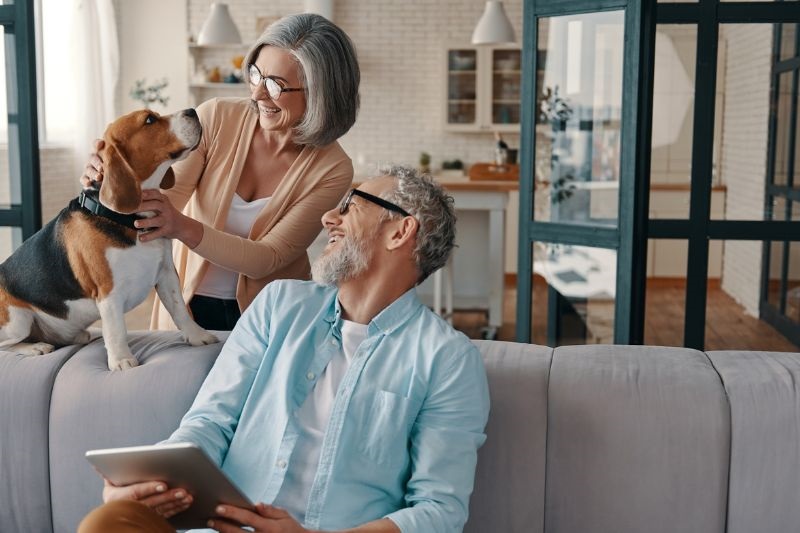 Casal começa a ganhar dinheiro rápido cuidando de animais. Na foto, um homem está sentado no sofá segurando um tablet e olhando um cachorro um cachorro que está em cima do sofá sendo segurando por uma mulher. Todos riem.