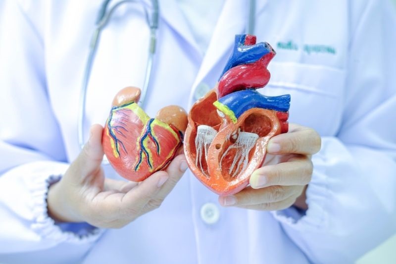 Médico mostrando que coração pode ser causa de convulsão