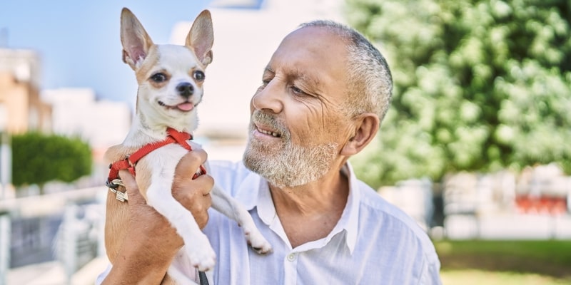 Um homem idoso feliz segurando o seu cachorro. Imagem para ilustrar a matéria sobre companhia dos pets.