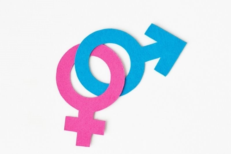 Imagem com os símbolos masculino (azul) e feminino (rosa) para ilustrar a matéria sobre o dia do orgasmo.