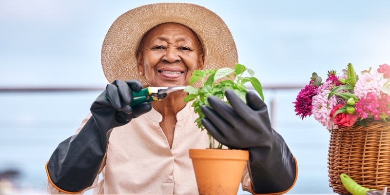 Uma senhora negra, em idade avançada sorrindo e podando um pé de ervas em um vaso de barro. Ela usa um chapéu e luvas. Imagem para ilustrar a matéria sobre o segredo para viver até 100 anos.