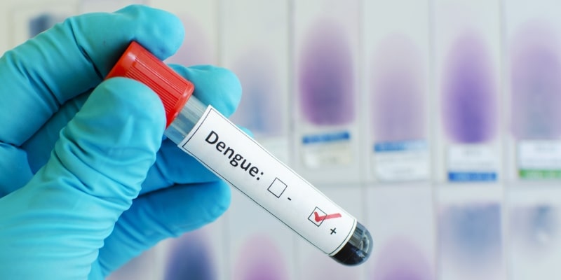 Um teste de dengue dando positivo. Imagem para ilustrar a matéria sobre risco de morte por dengue.