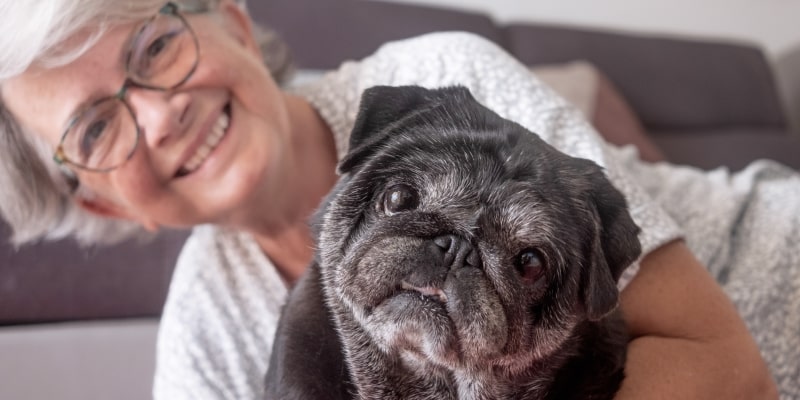 Uma senhora sorrindo, com seu cachorro idoso. Imagem para ilustrar a matéria sobre longevidade animal.