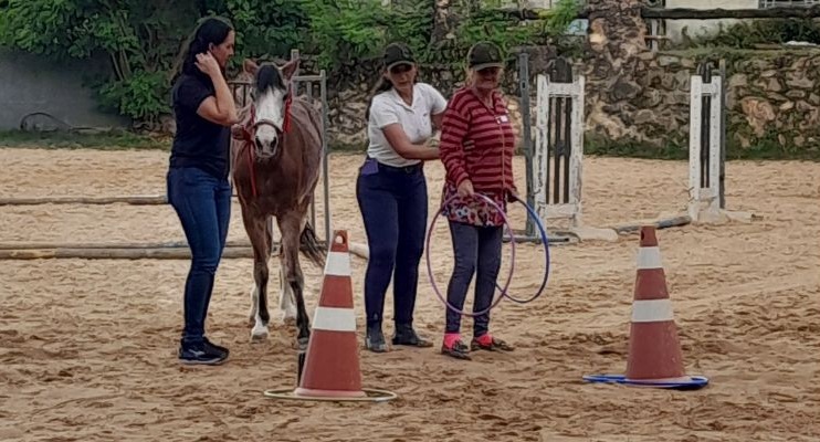 Projeto Sara auxilia idosos por meio de cavalos