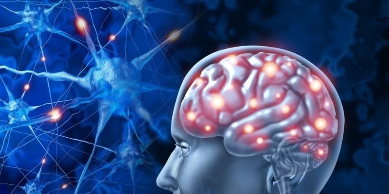 Neuropsicóloga Cristiane Felipe fala de neuroplasticidade cerebral após os 60