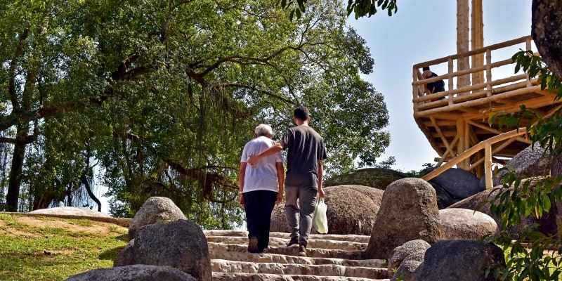 Um homem jovem ajudando uma mulher idosa a subir escadas em um parque. Imagem para ilustrar a matéria sobre expectativa de vida no Brasil.