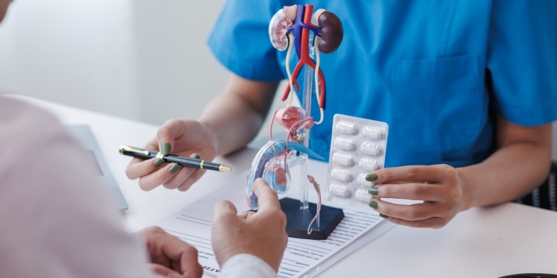 Mãos de uma médica mostrando um modelo anatômico de pênis e bexiga para mostrar mais detalhes sobre como a terapia hormonal para câncer de próstata funciona.