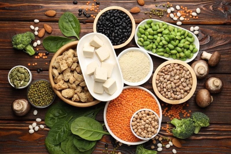 Proteína no envelhecimento é essencial