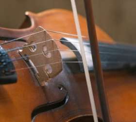 O maestro, a orquestra e o nosso lugar ao sol