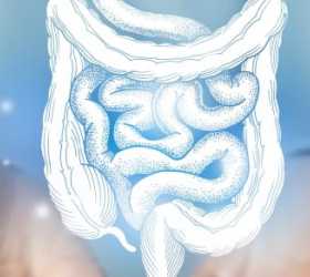 Câncer colorretal exige exames preventivos para diagnóstico precoce