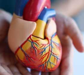 Quando o coração adoece sem sintomas