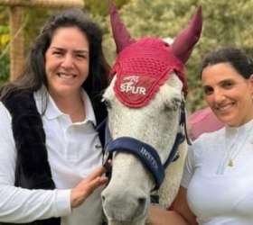 Projeto une cavalos e idosos com cuidado e presença