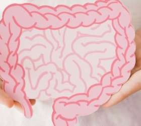 Conexão entre intestino e cérebro influencia emoções e saúde mental