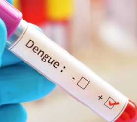 Vacina da dengue é indicada para idosos? Entenda as restrições