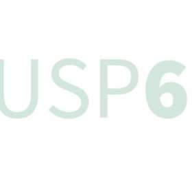 USP 60+: A universidade e o compromisso com um envelhecimento mais ativo e justo
